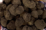 Tartufo Nero