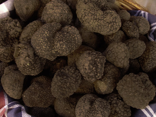 Tartufo Nero