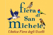 Fiera di San Michele