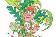 Festa delle Erbe