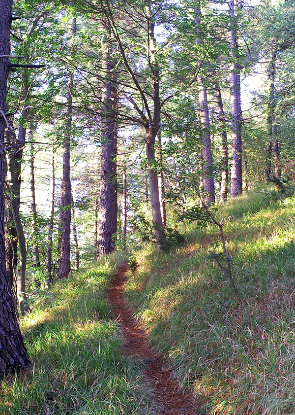 Trekking: Ottobre al Parco