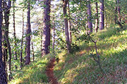 Trekking: Ottobre al Parco