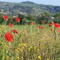 Foto di copertina de La Valmarecchia