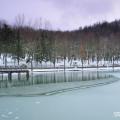 Alcune foto del Lago di Andreuccio a Soanne di Pennabilli a cura di Gianluca Moretti Â© www.clickgianluca.com