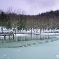 Alcune foto del Lago di Andreuccio a Soanne di Pennabilli a cura di Gianluca Moretti © www.clickgianluca.com