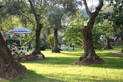 Il Giardino degli Ulivi